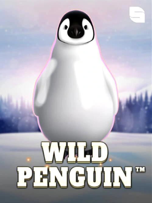 Jogo do foguete aposta